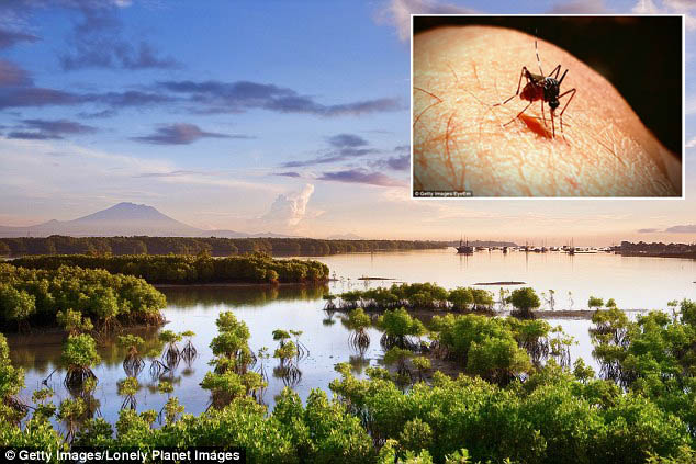 Australia Ingatkan Warganya Jangan ke Bali karena Ancaman Virus Zika